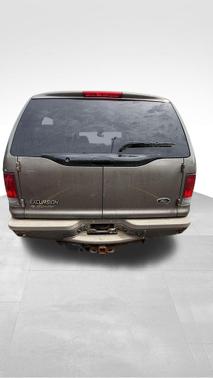 Silver Birch Clearcoat Metallic 2003 Ford Excursion Limited