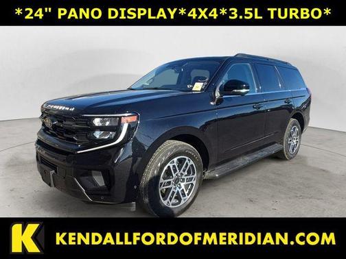 Black Metallic 2025 Ford Expedition Active