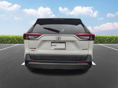 Blizzard Pearl 2019 Toyota RAV4 Limited