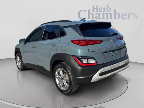 Cactus Fern 2022 Hyundai KONA SEL