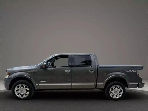2014 Ford F-150 Platinum