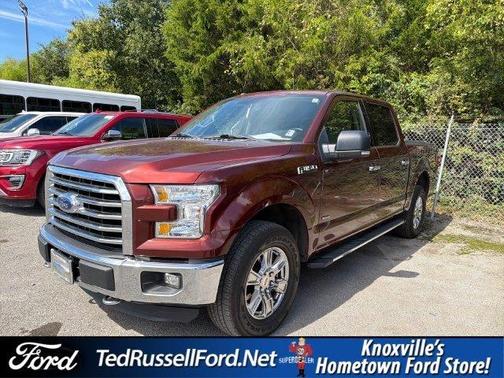Bronze 2016 Ford F-150 XLT