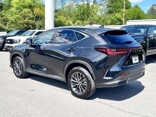 2024 Lexus NX 350h Premium