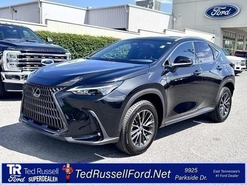2024 Lexus NX 350h Premium