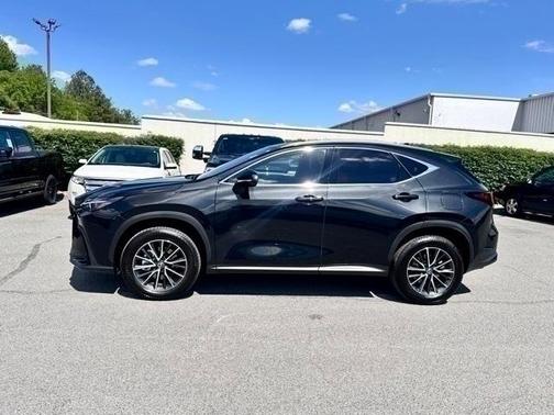 2024 Lexus NX 350h Premium