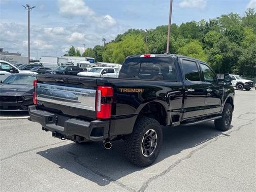 2024 Ford F-250 Platinum