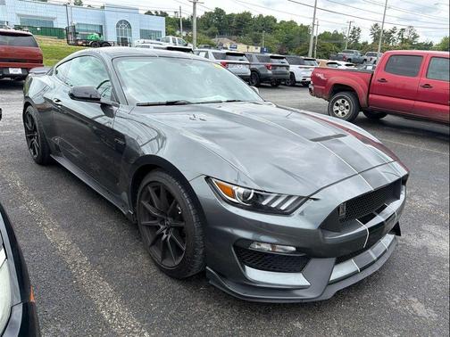 Magnetic 2018 Ford Shelby GT350 Base