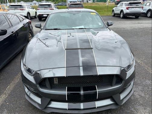 Magnetic 2018 Ford Shelby GT350 Base