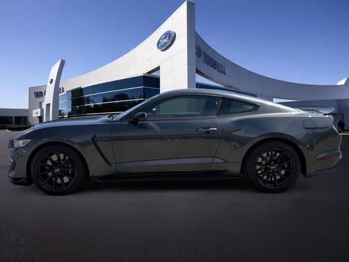 Magnetic 2018 Ford Shelby GT350 Base
