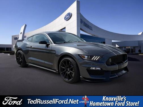 Magnetic 2018 Ford Shelby GT350 Base