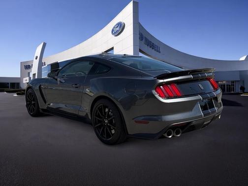 Magnetic 2018 Ford Shelby GT350 Base