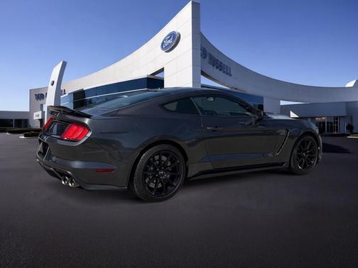 Magnetic 2018 Ford Shelby GT350 Base