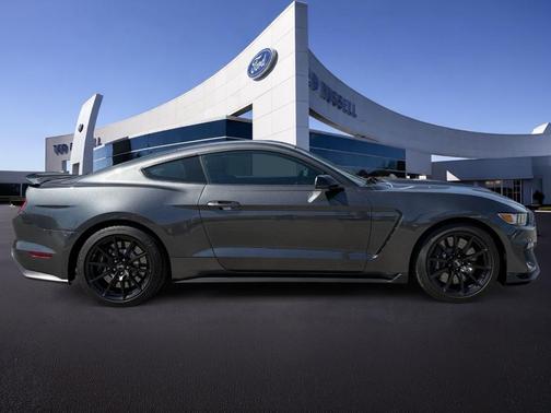 Magnetic 2018 Ford Shelby GT350 Base