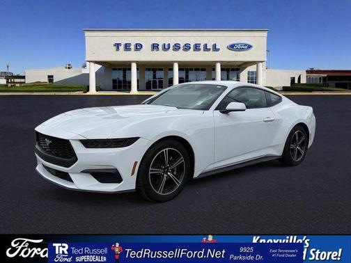 Oxford White 2025 Ford Mustang EcoBoost
