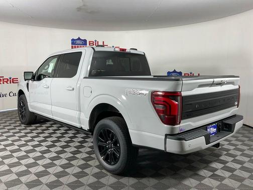 AVALANCHE 2026 Ford F-150 Platinum