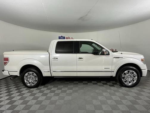 2013 Ford F-150 Platinum