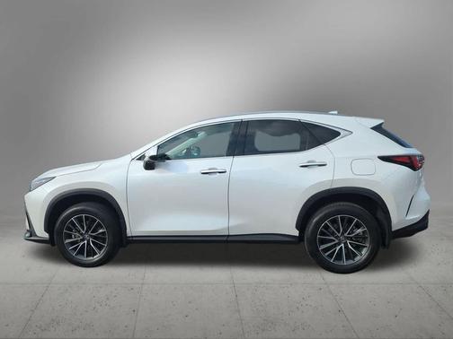 2024 Lexus NX 350h AWD