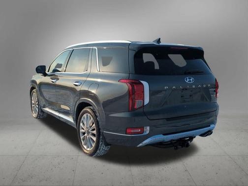 Rainforest 2020 Hyundai PALISADE Limited