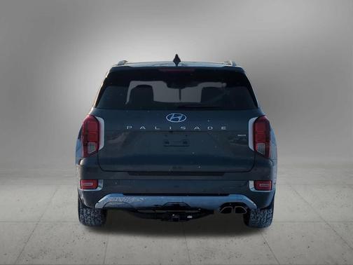 Rainforest 2020 Hyundai PALISADE Limited