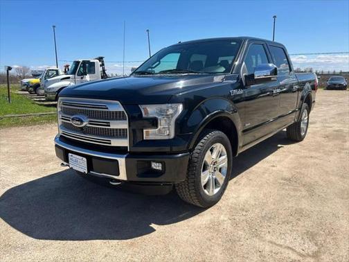 2015 Ford F-150 Platinum