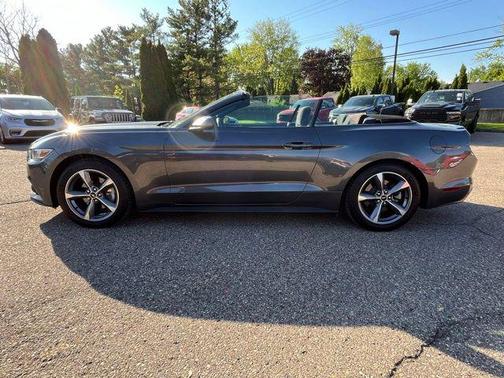 Magnetic 2017 Ford Mustang V6