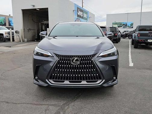 Cloudburst Gray 2024 Lexus NX 250 Premium