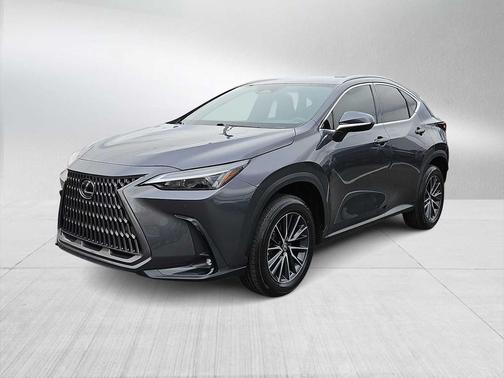Cloudburst Gray 2024 Lexus NX 250 Premium