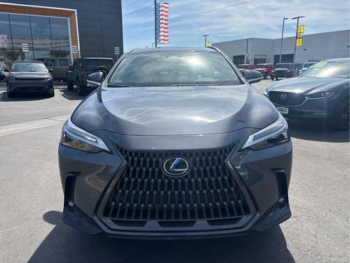 Cloudburst Gray 2024 Lexus NX 250 Premium