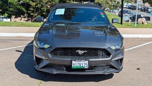 Magnetic 2020 Ford Mustang EcoBoost Premium