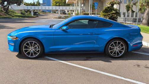 Velocity Blue Metallic 2019 Ford Mustang EcoBoost
