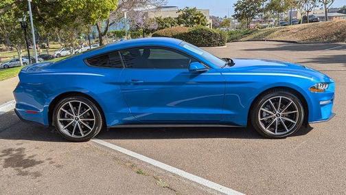 Velocity Blue Metallic 2019 Ford Mustang EcoBoost