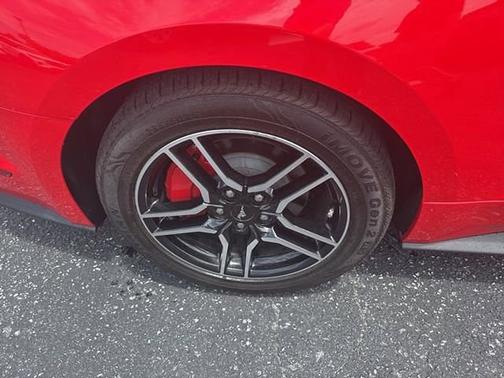 RACE RED 2019 Ford Mustang ECOBOOST PREMIUM