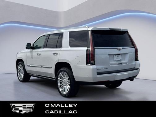 Crystal White Tricoat 2020 Cadillac Escalade Platinum