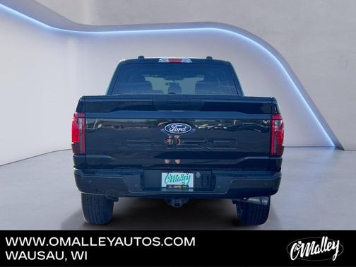 Agate Black Metallic 2024 Ford F-150 STX