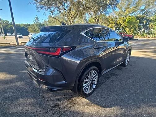 2025 Lexus NX 350 Luxury