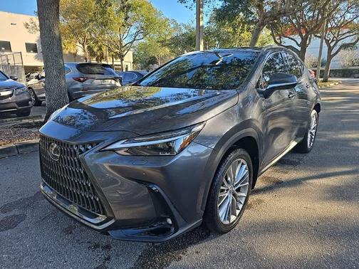 2025 Lexus NX 350 Luxury