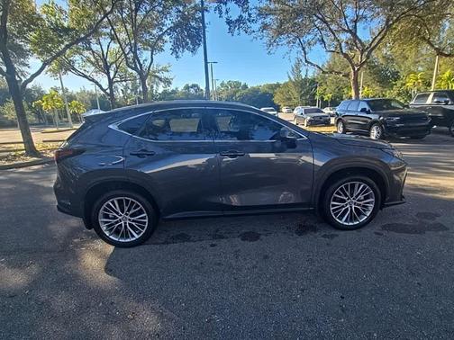 2025 Lexus NX 350 Luxury