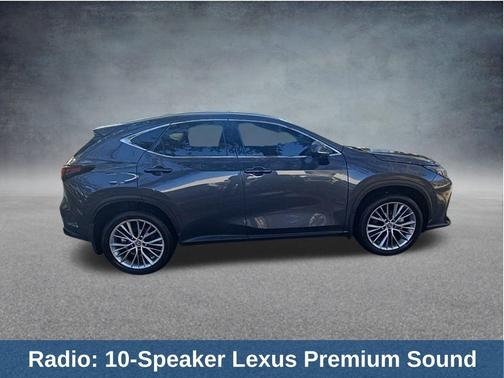 2025 Lexus NX 350 Luxury