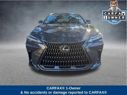 2025 Lexus NX 350 Luxury