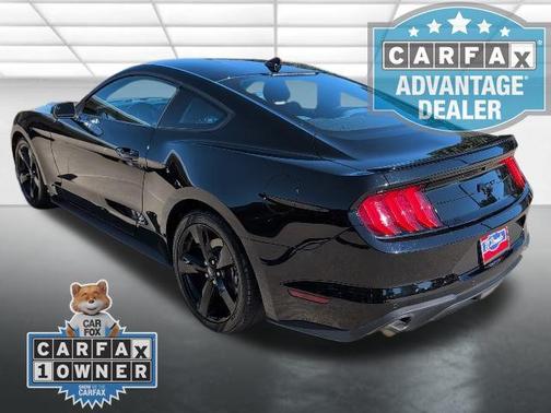 2022 Ford Mustang EcoBoost