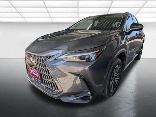 Cloudburst Gray 2022 Lexus NX 350 Premium