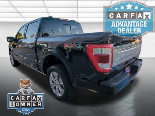 2021 Ford F-150 Platinum