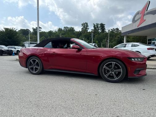 Rapid Red Metallic Tinted Clearcoat 2024 Ford Mustang EcoBoost Premium