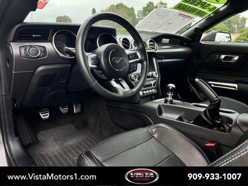 Magnetic Metallic 2019 Ford Mustang GT Premium