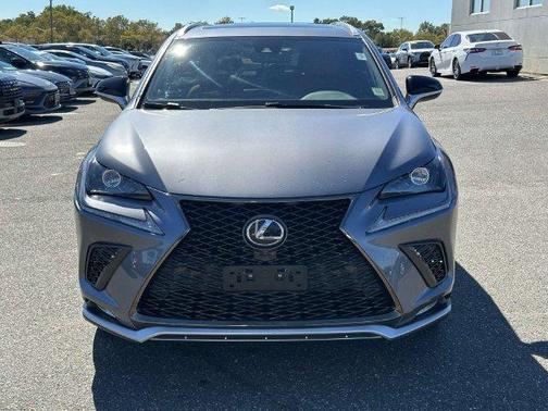 Nebula Gray Pearl 2021 Lexus NX 300 F Sport
