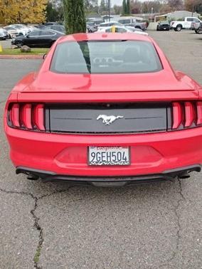 2019 Ford Mustang EcoBoost