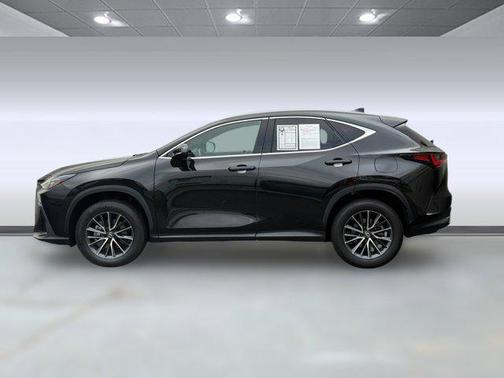 2024 Lexus NX 250 Premium