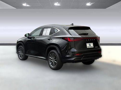 2024 Lexus NX 250 Premium
