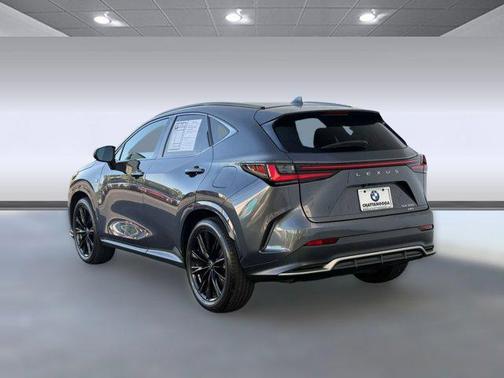 Cloudburst Gray 2024 Lexus NX 350 F SPORT Handling