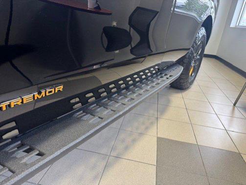 Agate Black Metallic 2026 Ford Expedition Tremor
